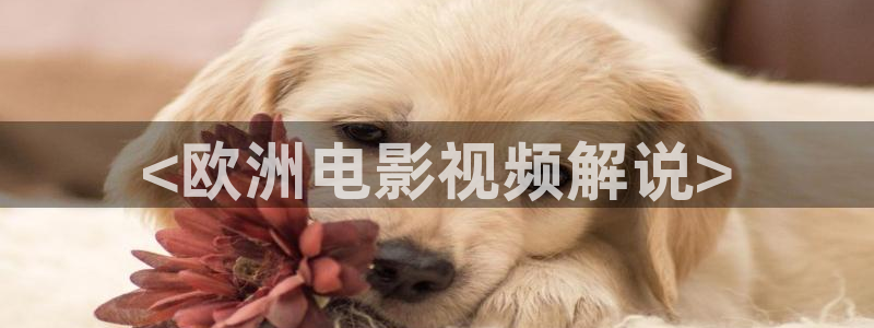 理论片西瓜影院免费观看