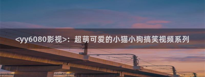西瓜西瓜播放器