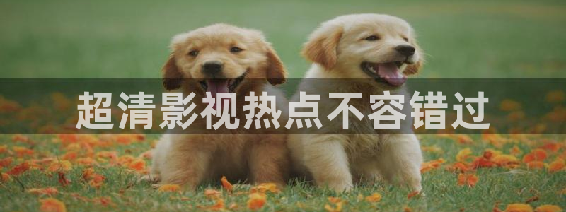 西瓜免费在线