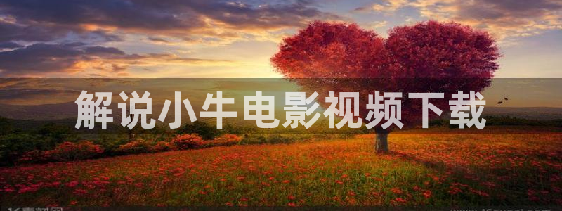 地道战电影完整版免费观看西瓜