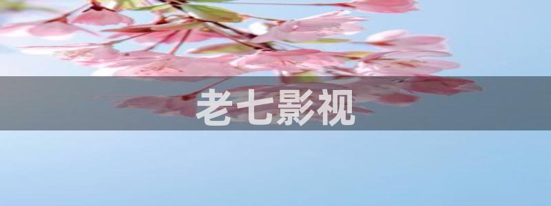 西瓜片子是什么