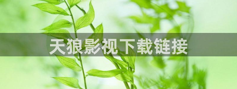 凤囚凰免费观看全集西瓜完整版