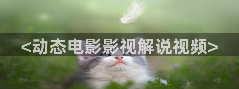 坚如磐石在线观看完整版西瓜免费