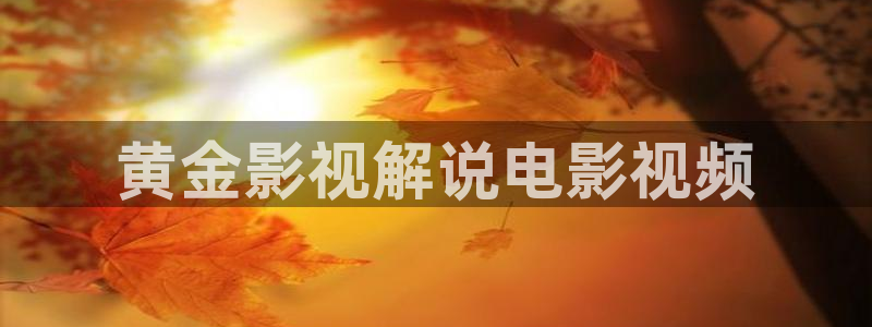 紫川动漫免费观看西瓜