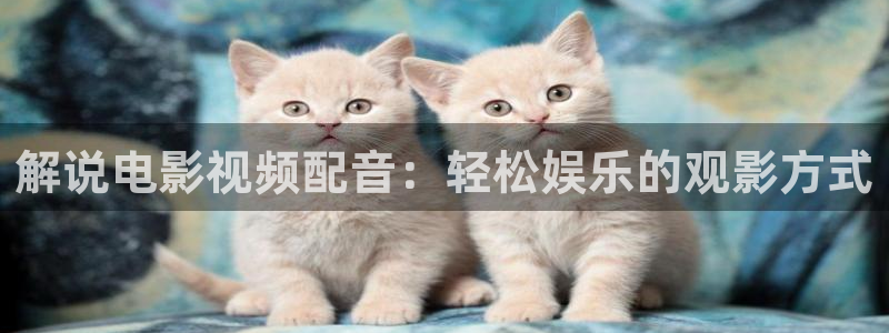 西瓜影院安卓下载