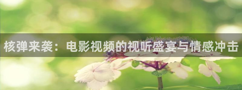 光棍影院西瓜影院