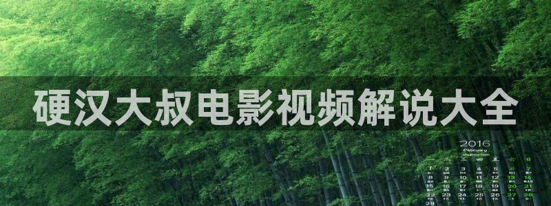 极限挑战宝藏行免费观看完整版西瓜
