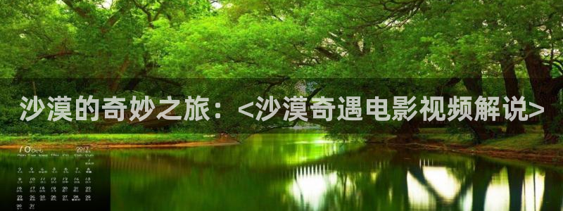 棋魂在线观看西瓜