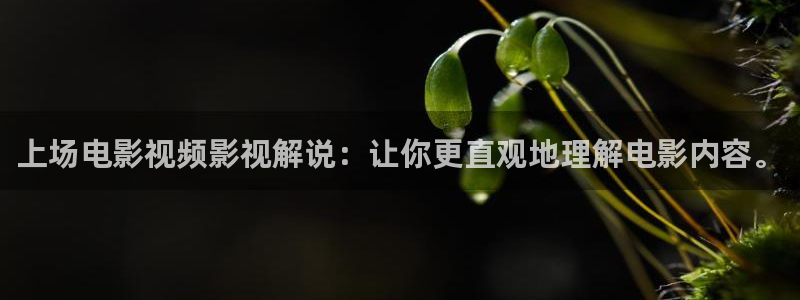秋霞西瓜网