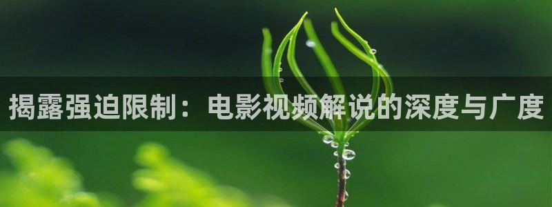 天天想你电视剧免费观看西瓜