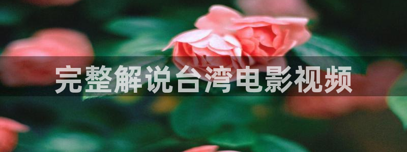 长相守在线观看全集免费观看西瓜