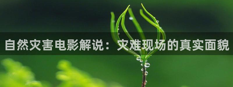 西瓜看球在线观看免费