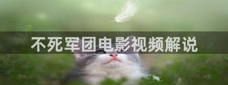 西瓜影院天堂