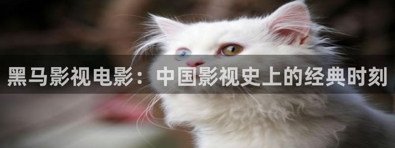 何以笙箫默西瓜影院
