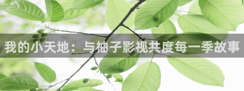 五福临门电视剧西瓜影院