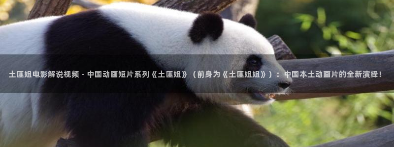 沧元图免费观看西瓜