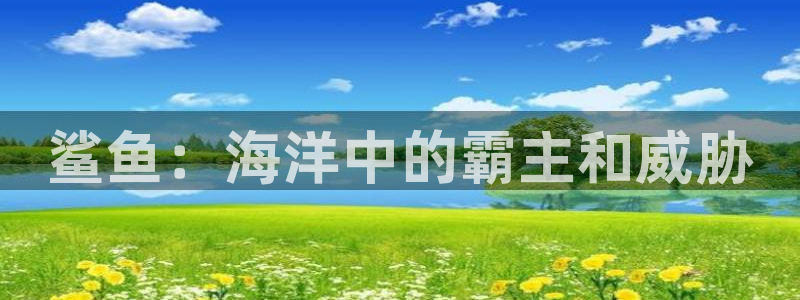 西瓜影院午夜剧场