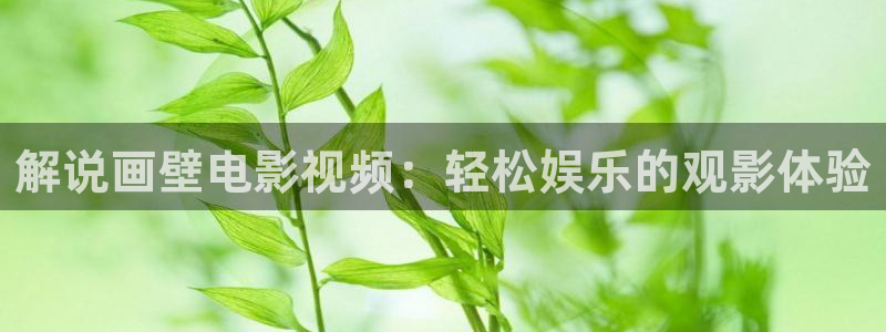 海底总动员英文版免费观看完整版西瓜影院
