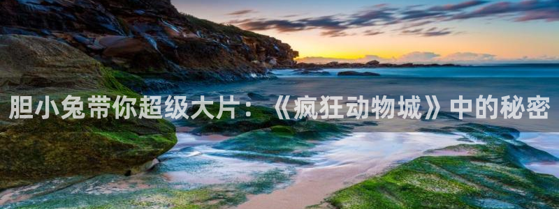 电影西瓜影院