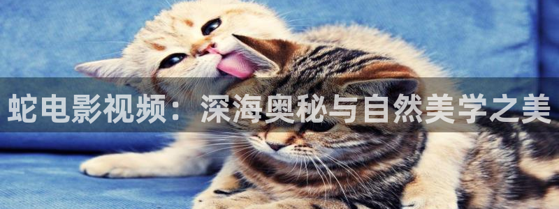 你好星期六免费观看完整版西瓜