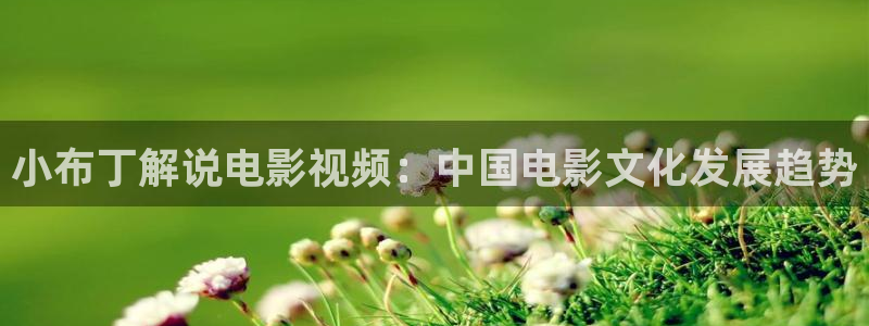 首页西瓜影院