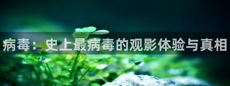 西瓜西瓜西瓜
