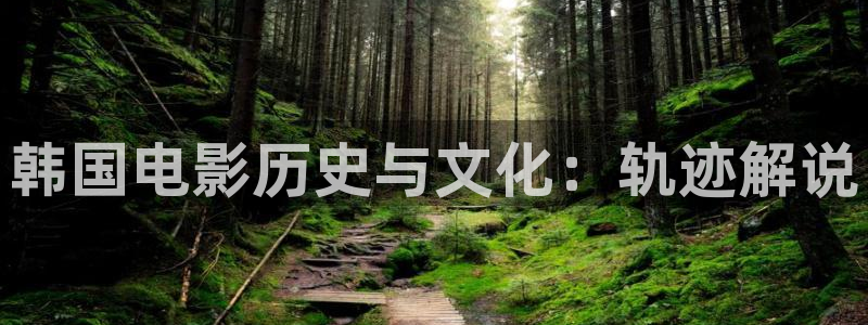 西瓜电影免费完整观看