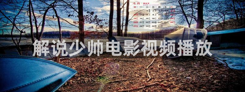 少年派二免费观看西瓜影院