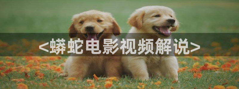 安装西瓜电影