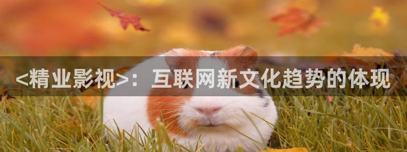 欢乐颂在线观看免费西瓜
