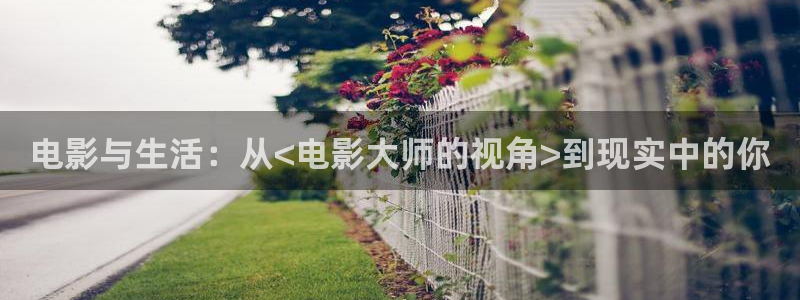 人鱼小姐国语版全集在线观看西瓜