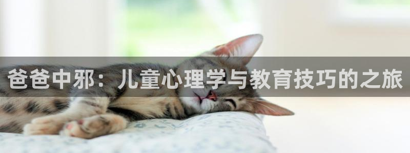 西瓜影院少帅