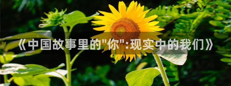 亮剑在线观看全集电视剧完整版西瓜影院