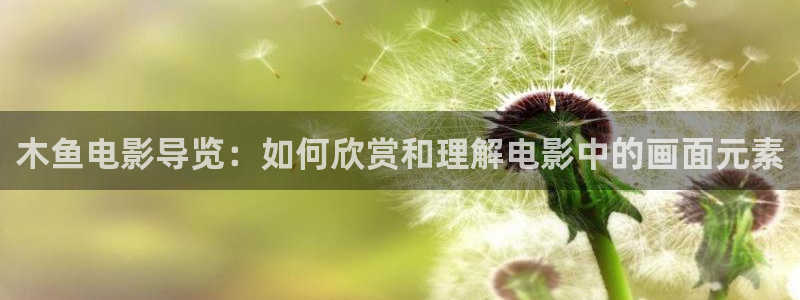 西瓜影视在线播放